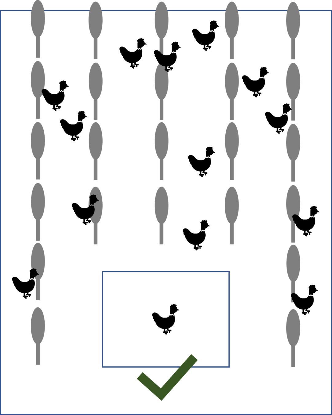 Verlaufen die Baumreihen l�ngs zum Stall, verteilen sich die H�hner besser �ber die gesamte Parzelle.