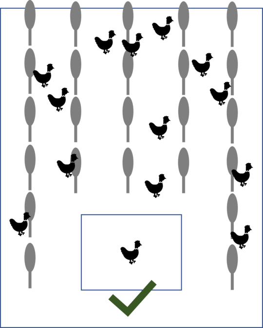 Verlaufen die Baumreihen l�ngs zum Stall, verteilen sich die H�hner besser �ber die gesamte Parzelle.