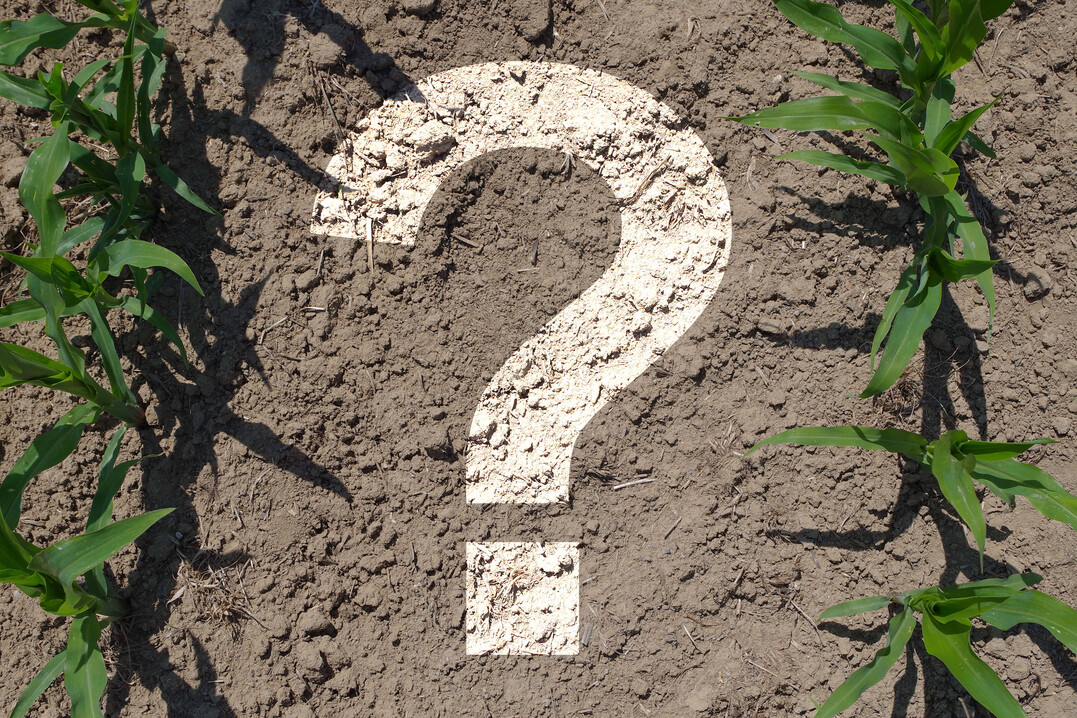 Welchen Teil des Bodenhumus kann man durch Bewirtschaften beeinflussen? Inwiefern ist eine Humussteigerung �berhaupt m�glich?