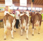 Igguss gewinnt erfreulicher Weise zwei GZW-Punkte dazu