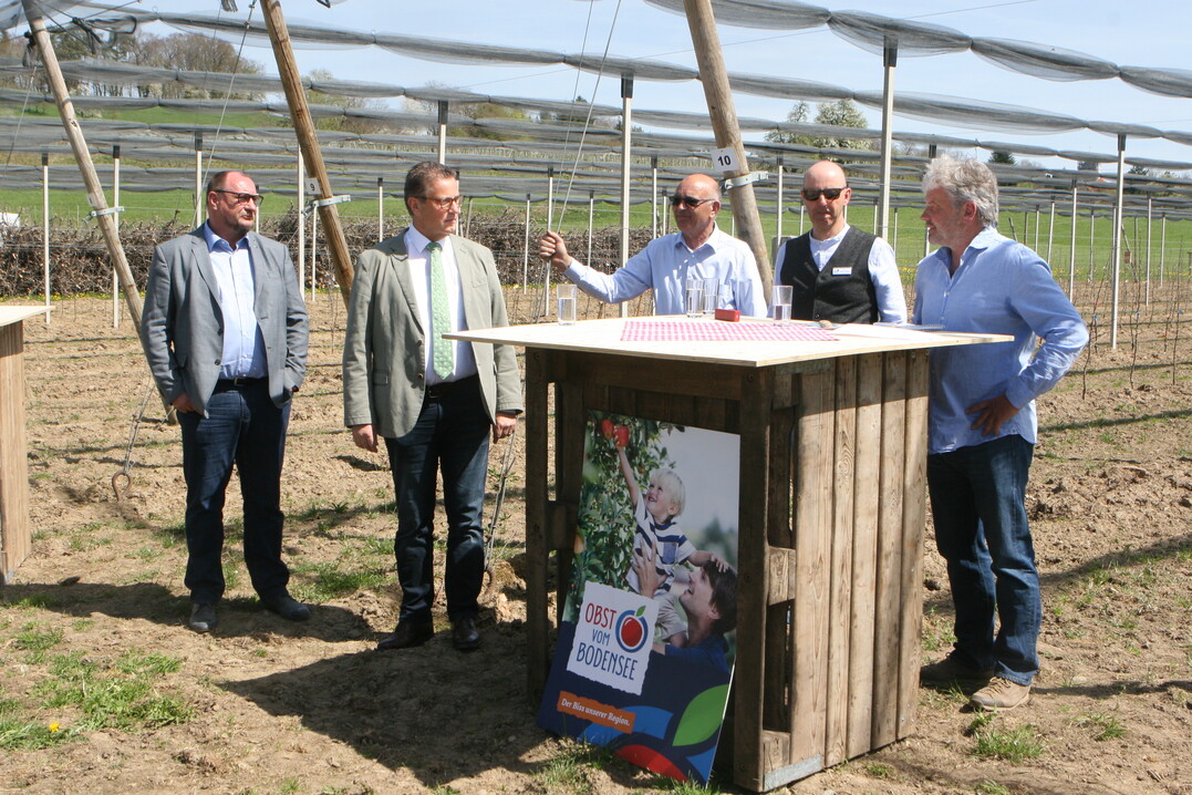 An der Modellanlage zur Pr�fung resistenter Sorten unter Praxisbedingungen hob Landwirtschaftsminister Hauk (2. v. l.) auf die Bedeutung des Projekts als wichtigen Schritt zur Zukunftssicherung des Obstbaus am Bodensee ab.