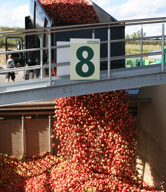 Im Jahr 2022 wurde weniger Apfelsaft gekeltert als zunächst angenommen.