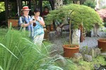 Oase der Ruhe im Japanischen Garten in der Hofstätter Mühle.