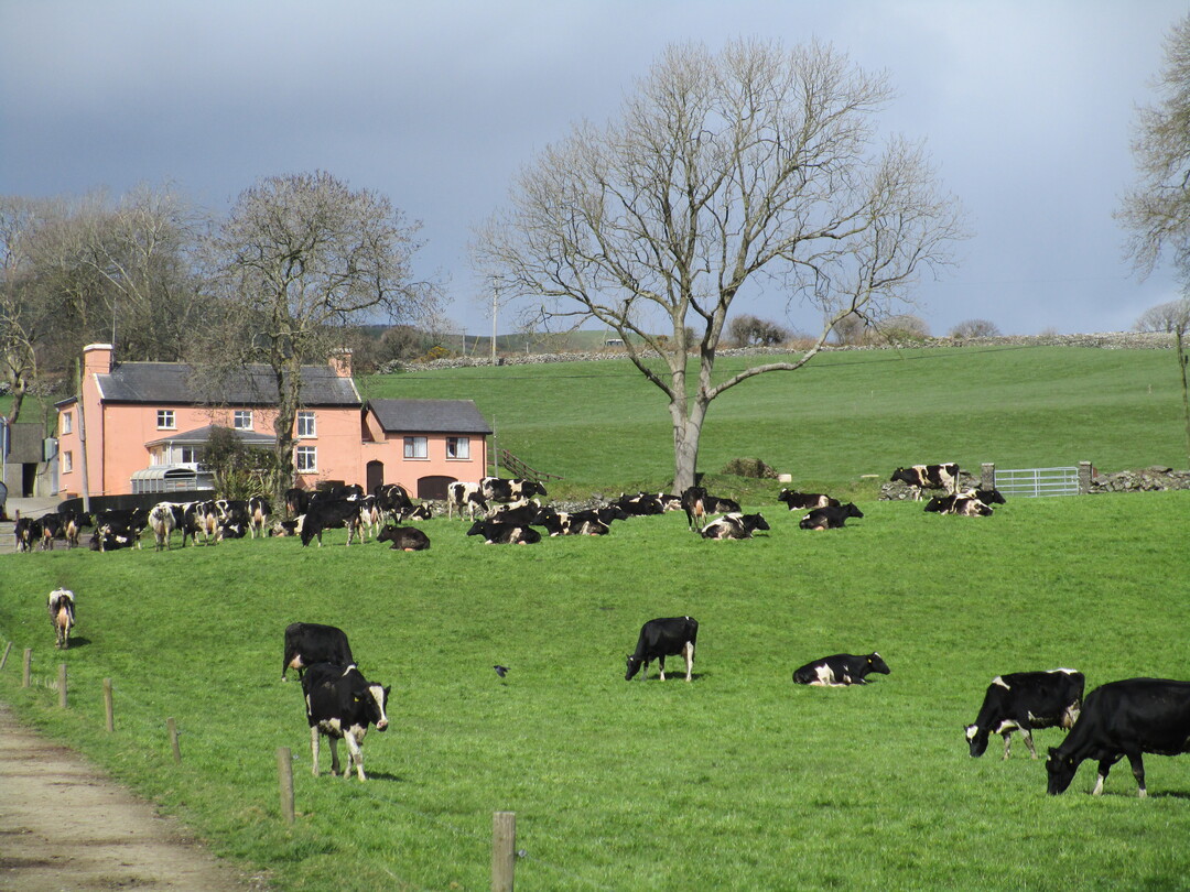 Der Betrieb in Irland