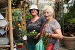 Das Pflanzenangebot in der Hofstätter Mühle verlockte zum Einkauf.