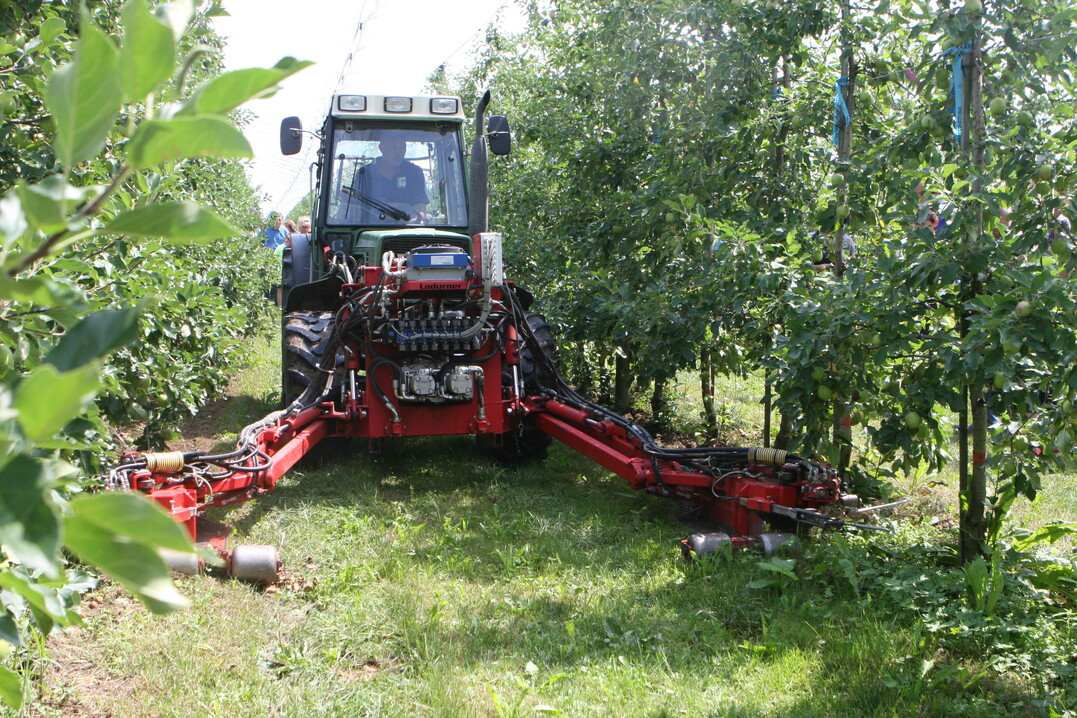 In einem Interreg-Projekt wurden an der Obstversuchsstation Schlachters unter anderem die Auswirkungen mechanischer Baumstreifenpflege auf die N�hrstoffdynamik im Boden untersucht.&nbsp;