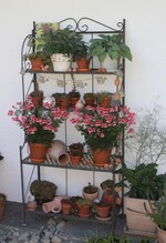 Im Garten von Ursula und Klaus Kopf.