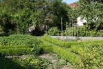 Gemüsegarten von Familie Jauch in Blönried mit typischer Bucheinfassung.