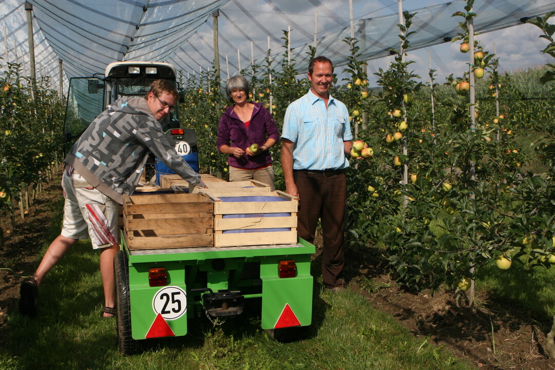 Im Vergleich zum Vorjahr rechnet man auf der Schweizer Seite des Bodensees mit einem Erntestart beim Apfel, der um eine Woche fr�her liegt. 