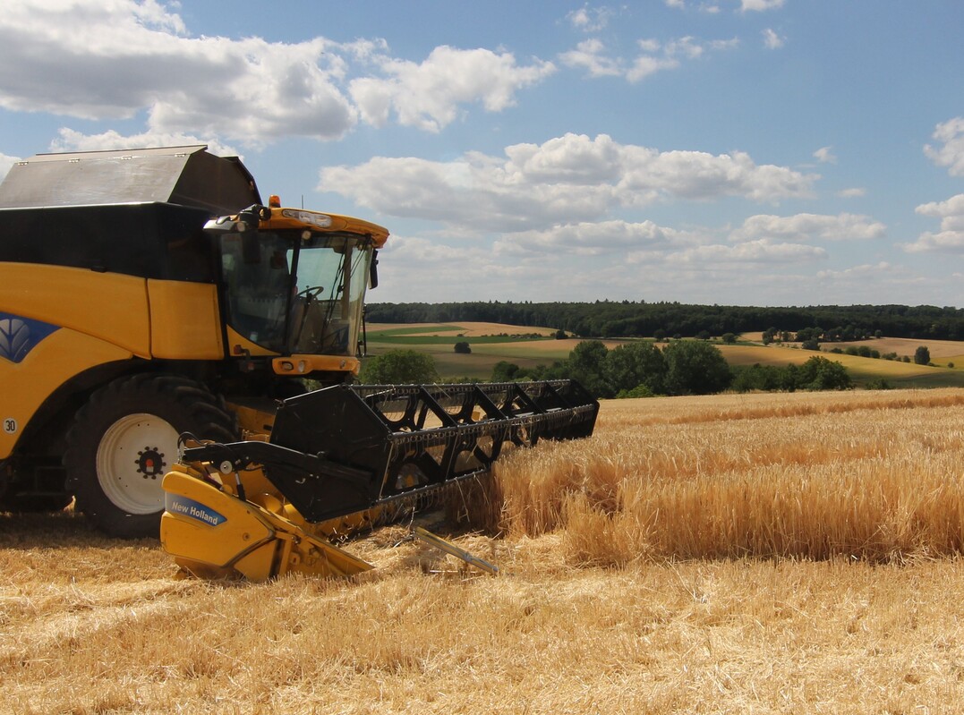 Vor dem Juni-Regen war der Erntebeginn in Baden-W�rttemberg um den 20. Juni erwartet worden. F�rs badische Rheintal w�re das normal, f�r W�rttemberg zwei Wochen fr�her als �blich.
