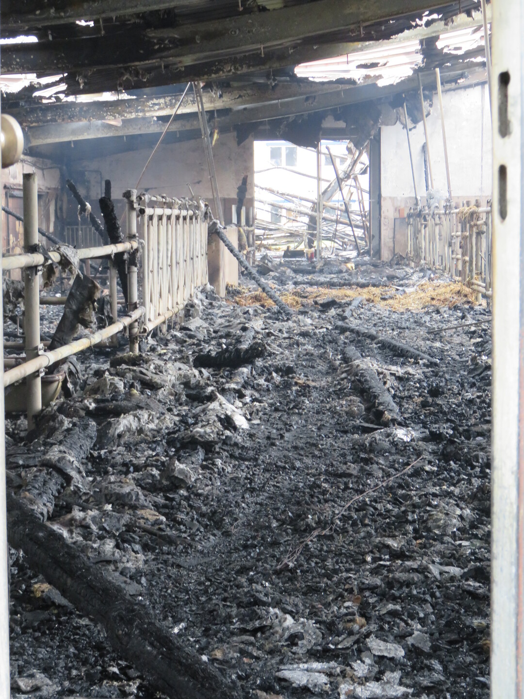 Eines von drei ausgebrannten Stalleinheiten.