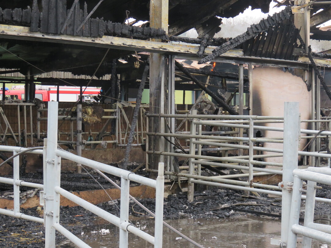 Am Tag darauf wird das ganze Ausma� des Schadens sichtbar.