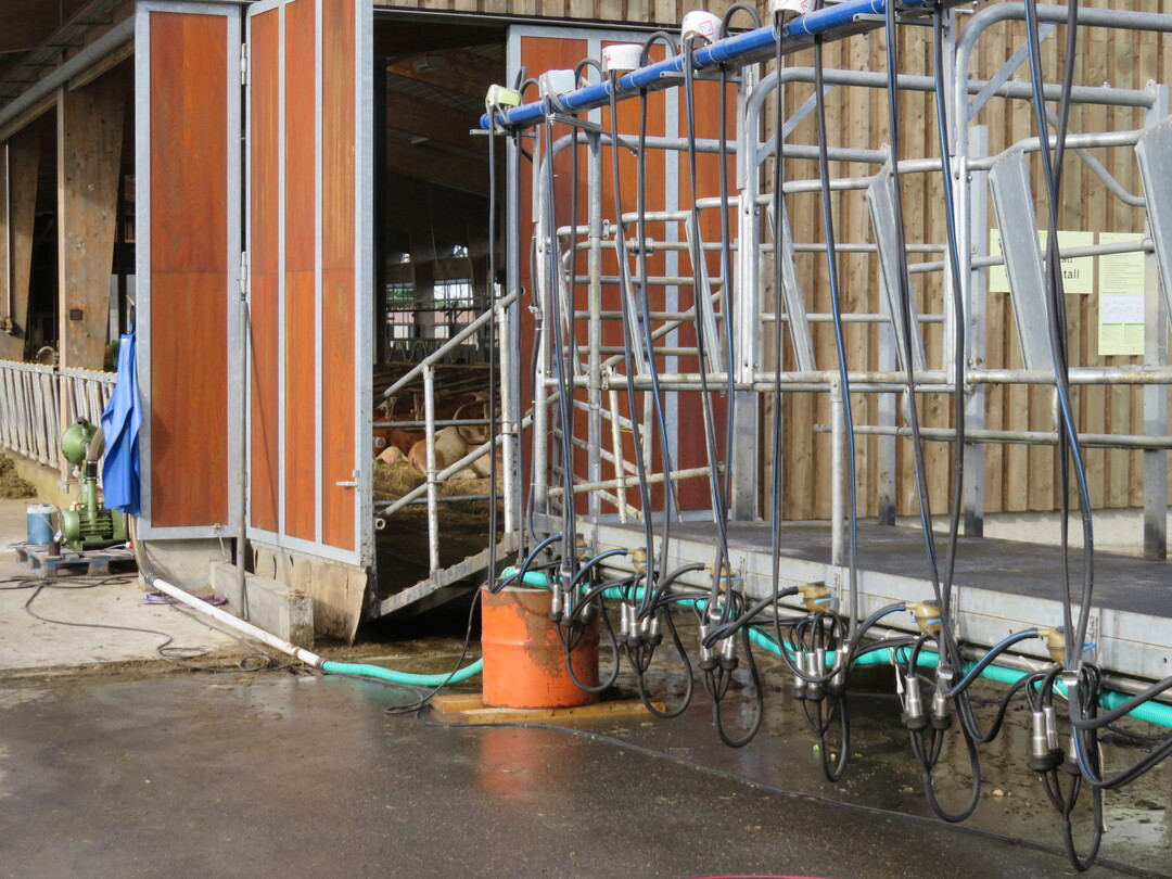 Weide-Melkstand am Stall angedockt
