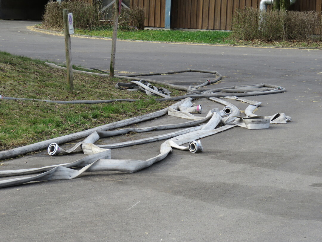 Zeugnisse des vollen Einsatzes