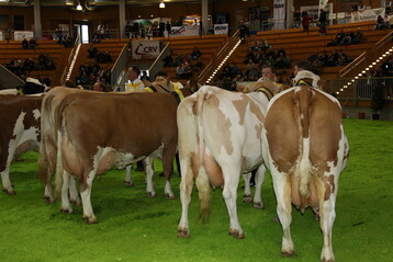 Fitness punktet: Durch die Gesundheitsmonitoring-Projekte in Baden-W�rttemberg, Bayern und �sterreich werden Impulse f�r die Erfassung von Krankheitsh�ufigkeiten gesetzt. 