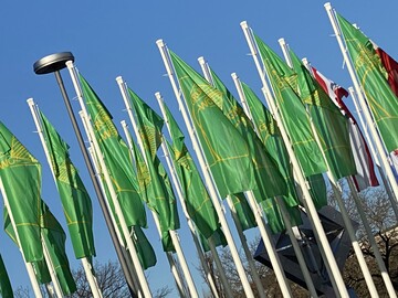 Fahnen der Gr�nen Woche