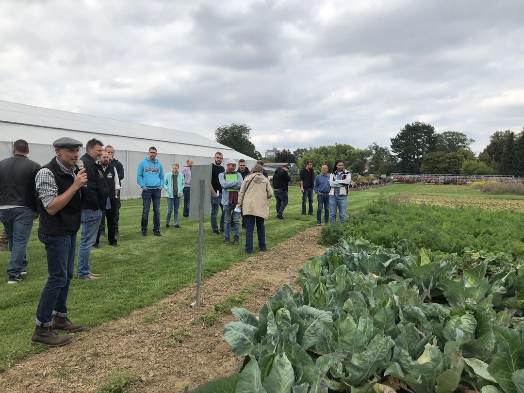 Wolfgang Henle, Versuchsansteller an der Staatsschule in Hohenheim, erläuterte den Besuchern den Versuch zu den Verwandtschaftsbeziehungen bei Filderspitzkraut.