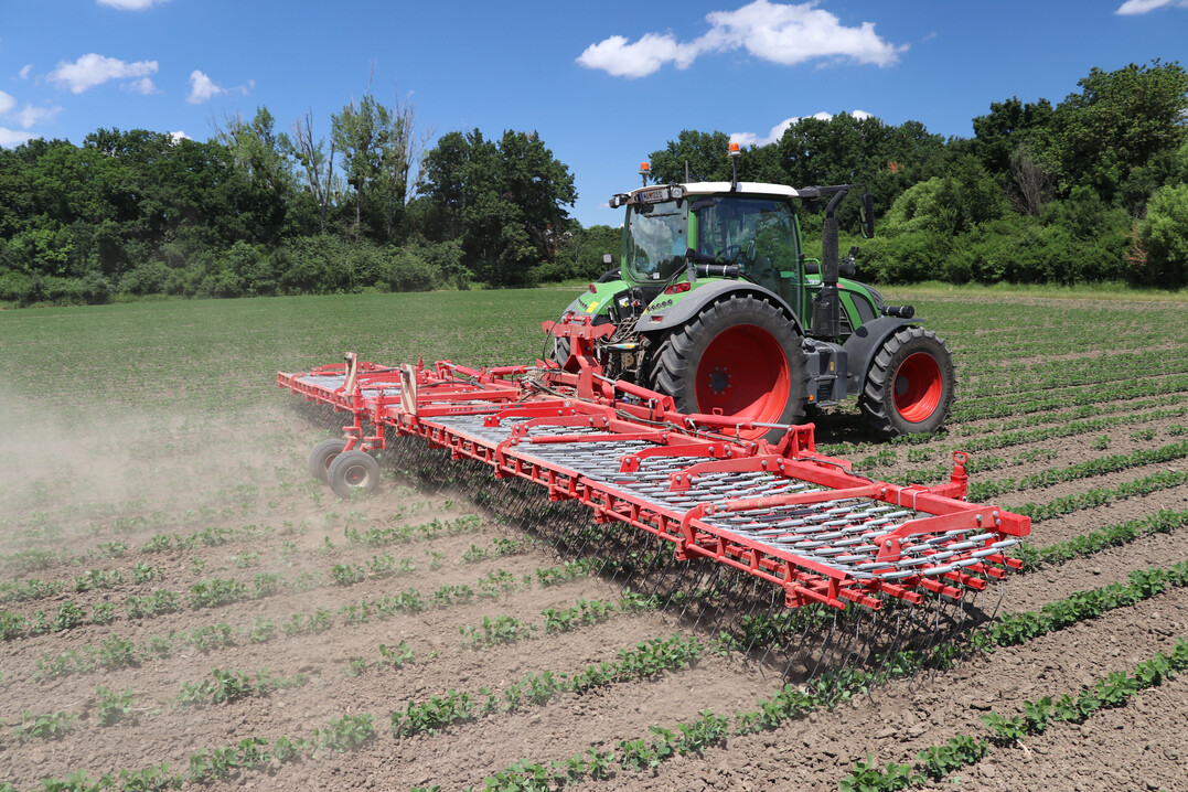 Beim Proportionalstriegel Bio Profi von Agri Farm lassen sich die 540 mm langen Federzinken von 0,5 bis vier kg vorspannen.