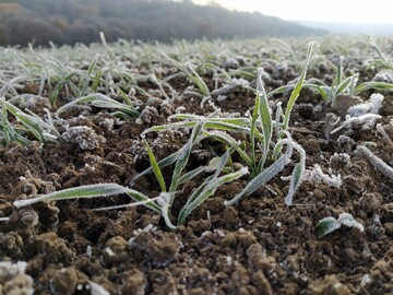 Hier war es schon deutlich k�lter als minus drei Grad.