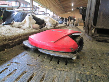 Spaltenroboter Enro auf dem Weg durch den Hohenheimer Versuchsstall.