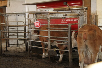 Ein verlässlicher Weg für die deutschen Molkereien und Milcherzeuger muss gefunden werden.