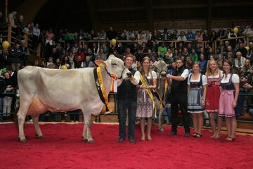 Easton Forteas, �die Mutter des Bullen Bisto aus dem Bestand der Albinger GbR in Winterreute sicherte sich den Titel der Siegerkuh alt. Als Ehrendamen fungierten die Kandidatinnen zur Wahl der Braunviehk�nigin Regina Dilger, Helena Hiller und Selina M�ller (re. im Bild).