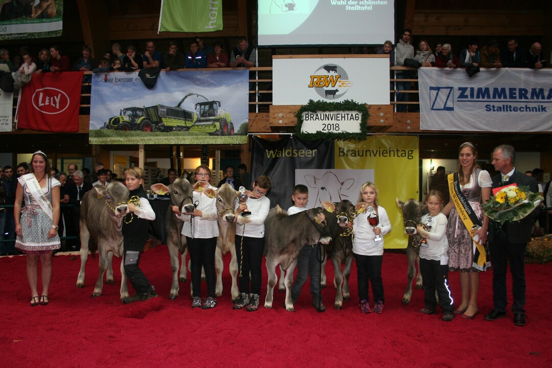 Die Jungzüchter waren hoch motiviert mit ihren Kälbern dabei.