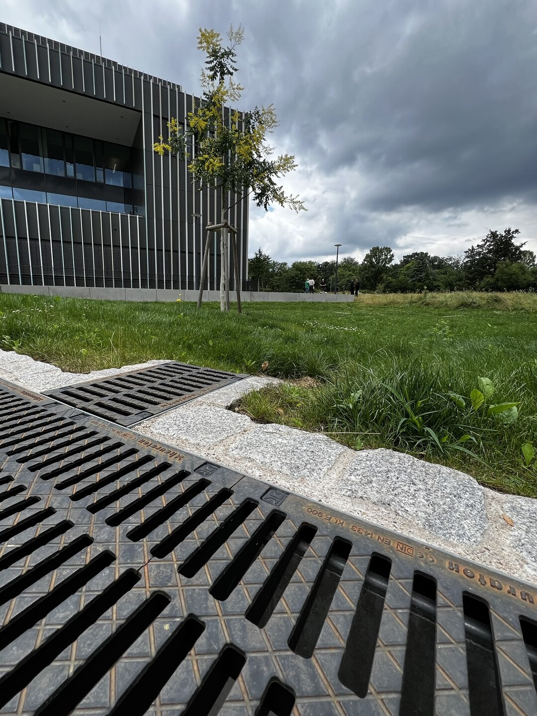 Gereinigtes Regenwasser f�r gesundes Stadtgr�n