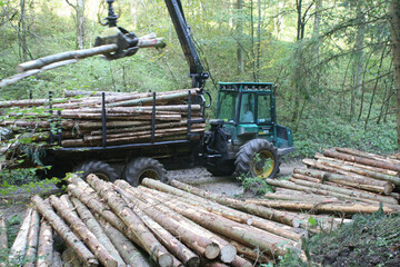 Durch die Ausgliederung eines Staatsforstbetriebes bei gleichzeitiger Kommunalisierung von Aufgaben im K�rperschaftswald soll die vom Bundeskartellamt geforderte strukturelle Trennung des Holzverkaufes vollzogen werden.