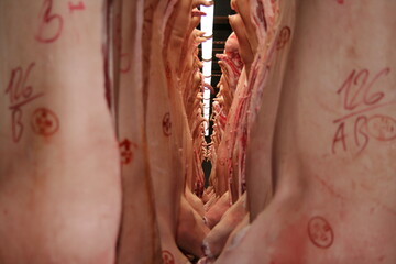 Russland l�sst kein europ�isches Schweinefleisch ins Land