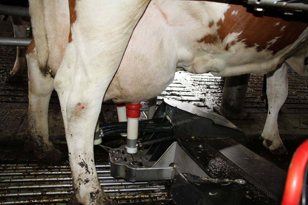 Jeder Akteur ist gefordert: Landwirte sollen weiterhin auf eine verantwortungsvolle, ressourcenschonende Qualit�tsproduktion setzen.