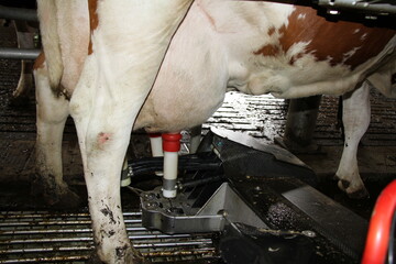 Jeder Akteur ist gefordert: Landwirte sollen weiterhin auf eine verantwortungsvolle, ressourcenschonende Qualit�tsproduktion setzen.