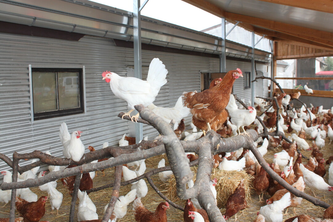 Genaue Regelungen für Jung und Alt