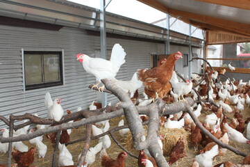 Genaue Regelungen für Jung und Alt