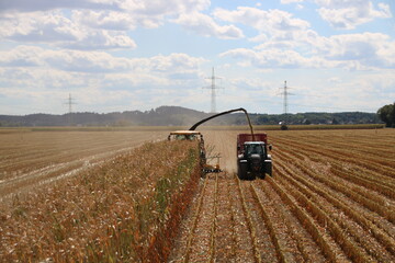 Die Silomaisernte ist 2018 in vielen Regionen deutlich geringer ausgefallen.