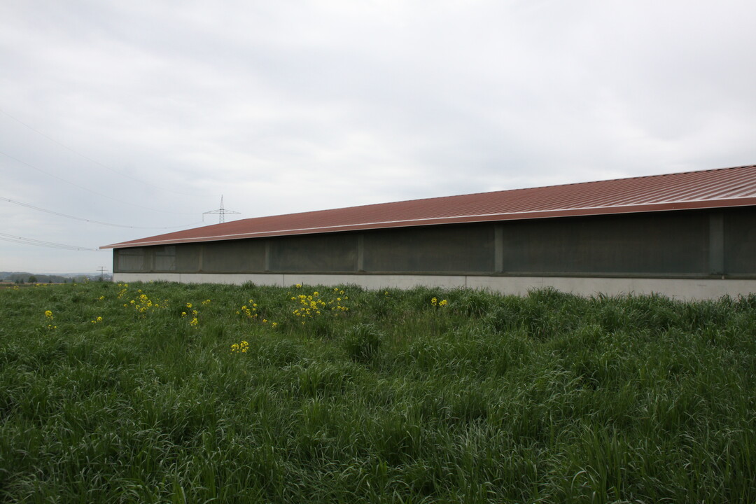Die beiden Au�enklimast�lle sind nicht zwangsbel�ftet. Deshalb sucht man Kamine auf den isolierten D�chern vergeblich. 
