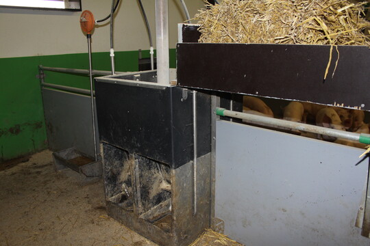 Eine Gefahr von Au�enklimast�llen ist, dass die Tr�nken im Winter ein frieren. Deshalb haben Volker Baumann und seine Kollegen Vater und Sohn Deitigsmann die Tr�nken im Innenbereich der Buchten eingebaut. Damit sich dadurch keine nassen Ecken auf der Festfl�che ausbilden, haben sich die Hohenloher Landwirte f�r Wannentr�nken mit Aqualevel entschieden.