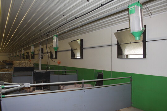 Die L�ftungsklappen an den Fenstern bestehen aus transparenten Doppelstegplatten. Unabh�ngig von den Platten, f�llt viel Tageslicht in die beiden Mastst�lle.