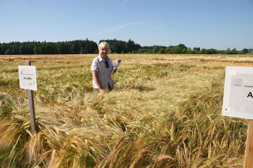 Dr. Christine Amann, LTZ, auf dem Versuchsfeld der LSV Wintergerste 2014