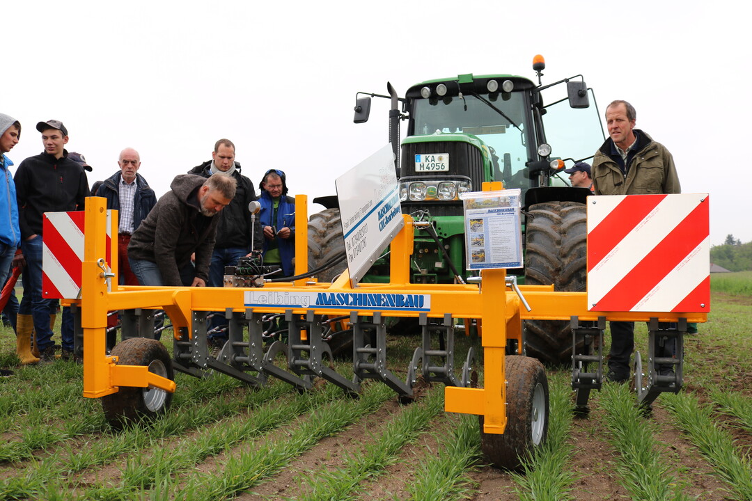 Die Hacke der Firma Leibing hat pro Schar ein Gelenk, die Tiefenführung geschieht über die vorgelagerte Gleitkufe. Arbeitstiefe und Neigung der Hackscharen lassen sich verstellen.