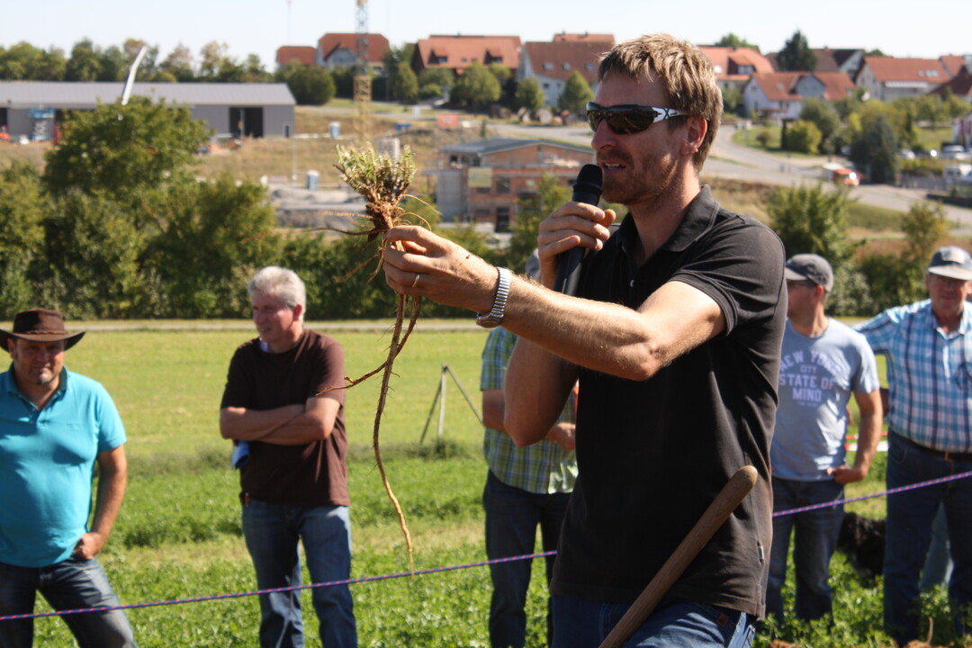 Der Sturz der Luzernestoppel mit den gut entwickelten dreij�hrigen Wurzeln ist dem Sch�lpflug gut gelungen. Berater Jonathan Kern w�re eine vorausgehende flache Bearbeitung hier am liebsten. 