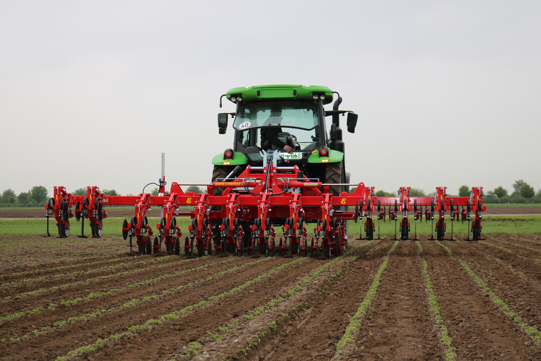 Der RowGuard von Einböck analysiert die Kamerabilder auf Stellen mit hoher Konzentration an grünen Farbpunkten. So erkennt das System die Kulturpflanzen und passt den Verschieberahmen entsprechend an.