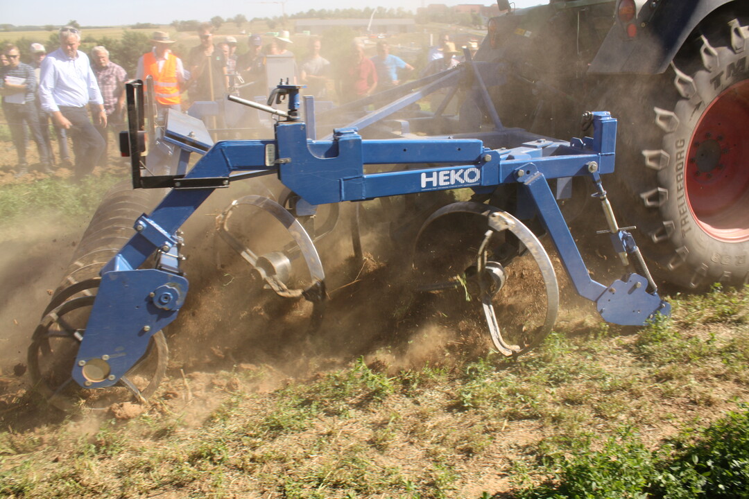Flachen Schnitt und dennoch eine grober Oberfl�chenstruktur, die noch Regen aufnehmen kann, hinterl�sst der HEKO-Ringschneider in der Luzerne. Die drehenden Schneiden ziehen Ampfer- und Luzernewurzeln aus dem Boden. 