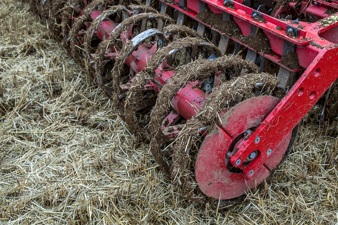 Blattfederwalzen sind relativ gut f�r tonige B�den und feuchtere Arbeitsbedingungen geeignet.  