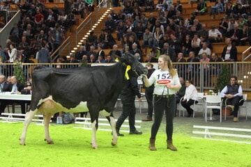 Die f�nfj�hrige Holsteinkuh Mox Baywatch (V. Goldwin) sicherte sich den Grand Champion-Titel in ihrer Rasse.