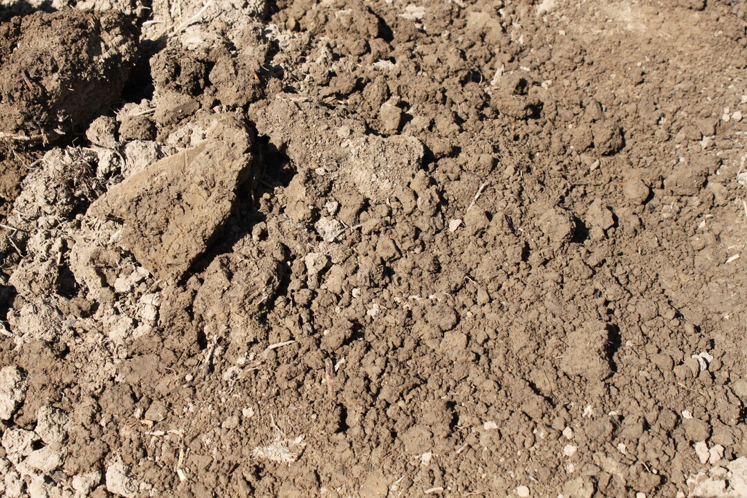 lockere und krümmelige Bodenstruktur