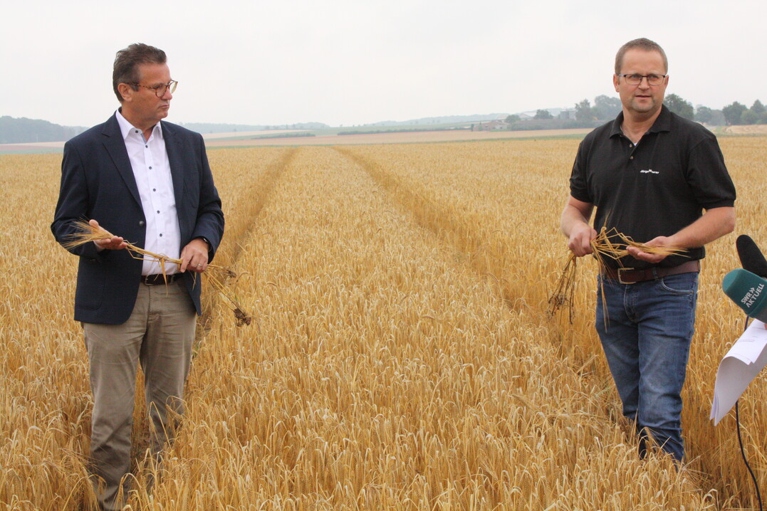 Agrarminister Peter Hauk und Bauernverbandsvorsitzender J�rgen Maurer (v. l.) geben einen ersten Ausblick auf die Ernte 2020 und berichten von den Sch�den, die Sp�tfr�ste in der Gerste angerichtet haben. 	