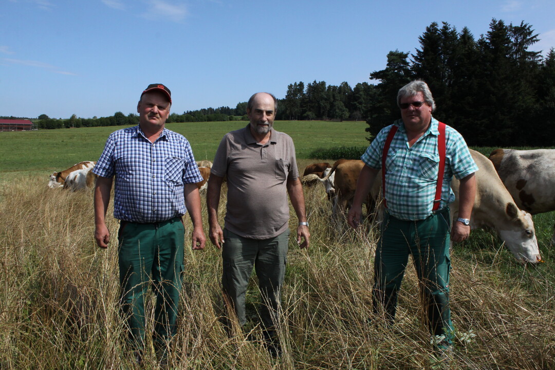 Der W�rzbacher Landwirt Hans-Jochen Burkhardt (l.) und seine Kollegen Gerhard Pfau (M.) und Markus Dietz (r.) bef�rchten, dass sich im Nordschwarzwald schon bald Wolfsrudel bilden.