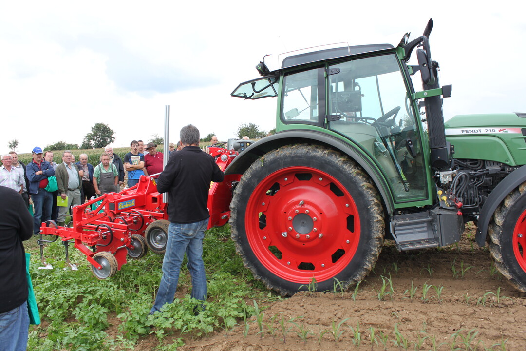 Maistag Oberriexingen 2017