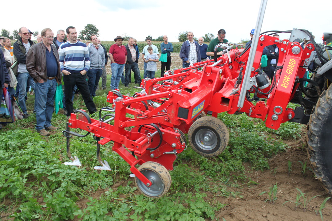 Maistag Oberriexingen 2017